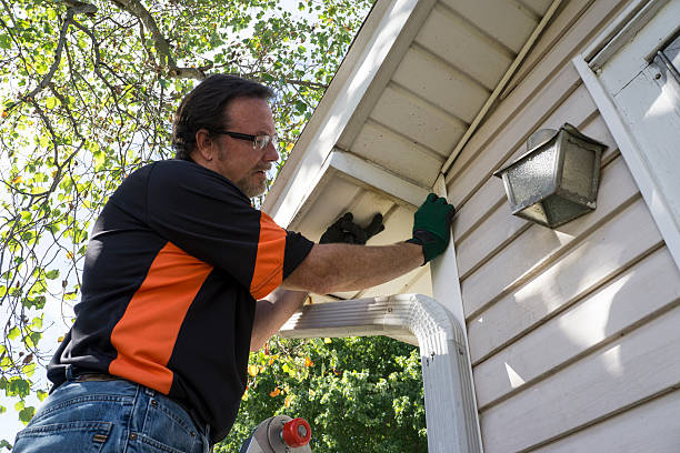 Best Hoarding Cleanup  in Sierra Vista, AZ